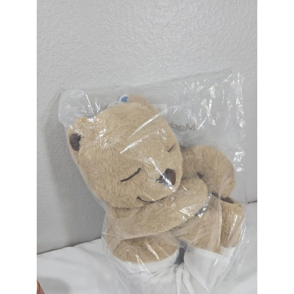 Meddy Teddy meddy teddy